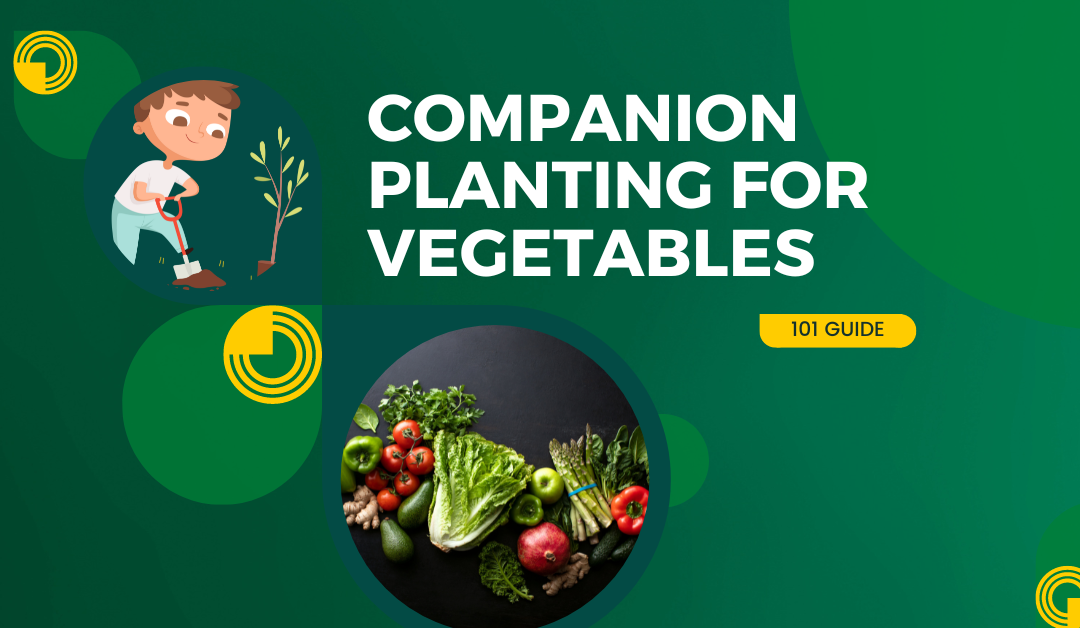 What You Need to Know About Companion Planting for Vegetables
