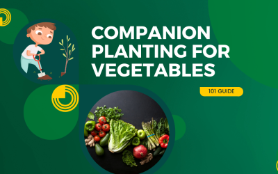 What You Need to Know About Companion Planting for Vegetables