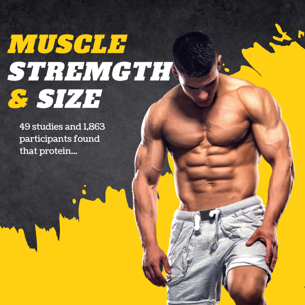 muscle size and strength
