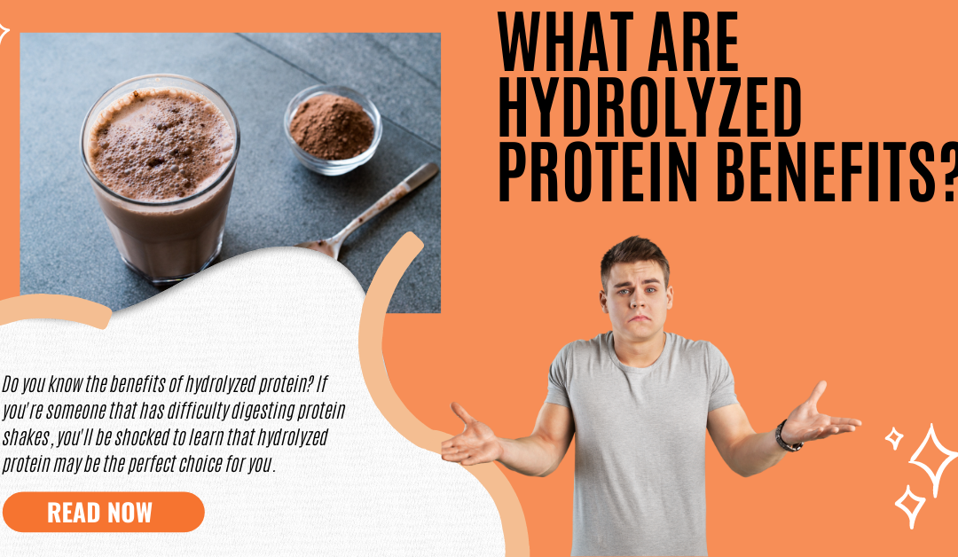 4 Hydrolyzed Protein Benefits You Probably Don’t Know