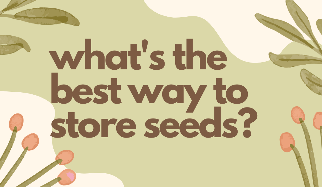 Best way to store seeds