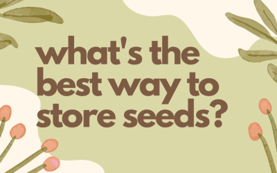 What’s the Best Way To Store Seeds?