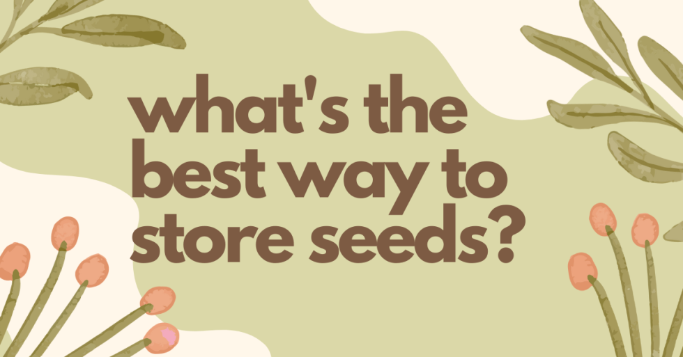 What’s the Best Way To Store Seeds? The Healthy Gnome