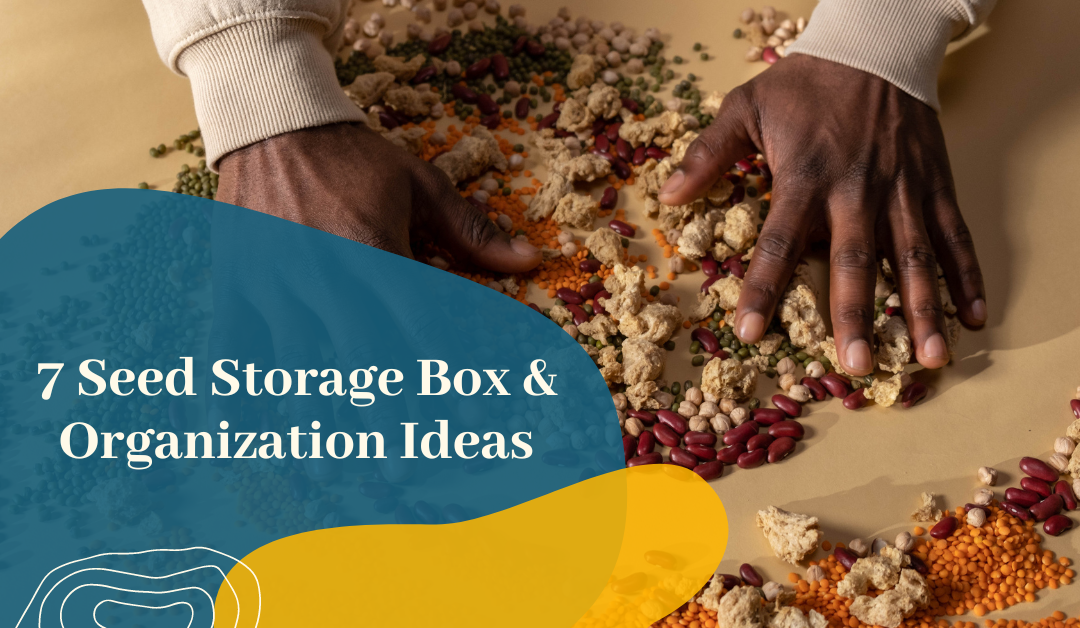 7 Seed Storage Box & Seed Organization Ideas
