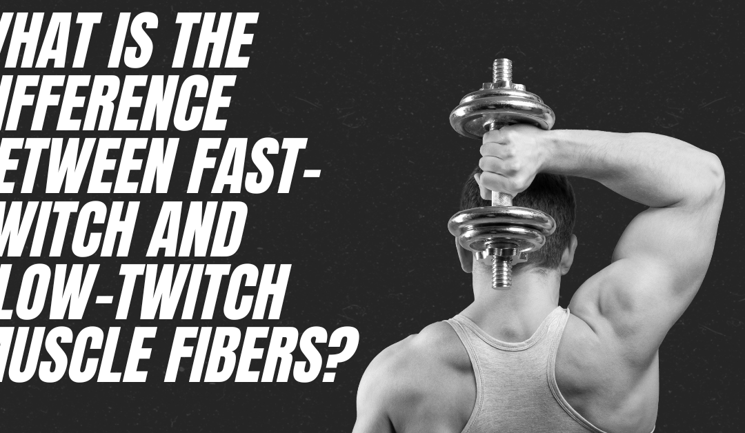 What Is The Difference Between Fast-twitch and Slow-twitch Muscle Fibers