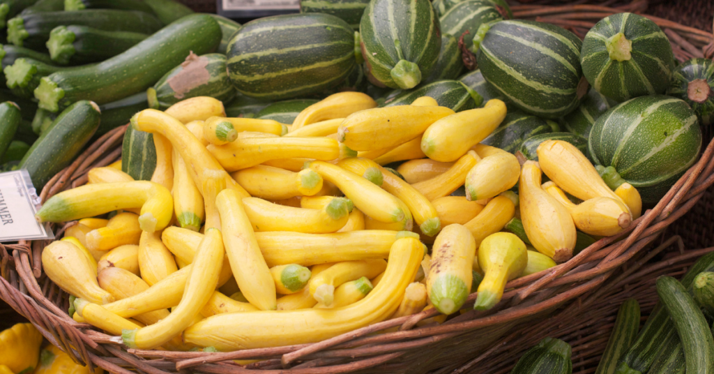 drying summer squash seeds