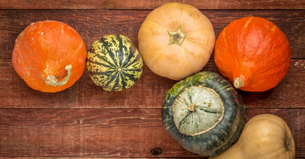 saving seeds from winter squash
