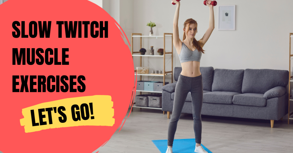 exercises to build slow twitch muscle fibers