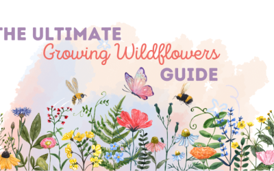 The Ultimate Growing Wildflowers Guide