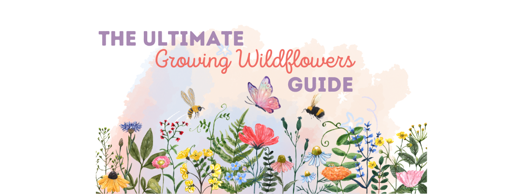 The Ultimate Growing Wildflowers Guide